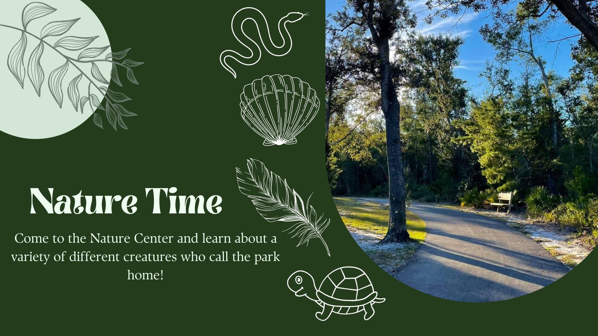 Nature Time