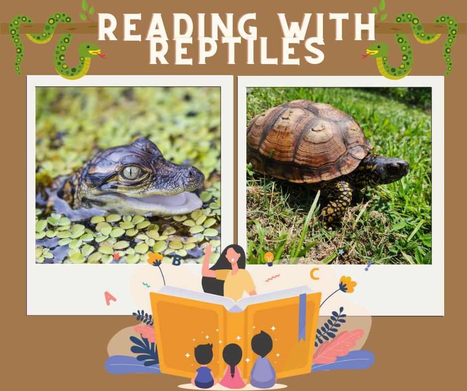 Reading with Reptiles