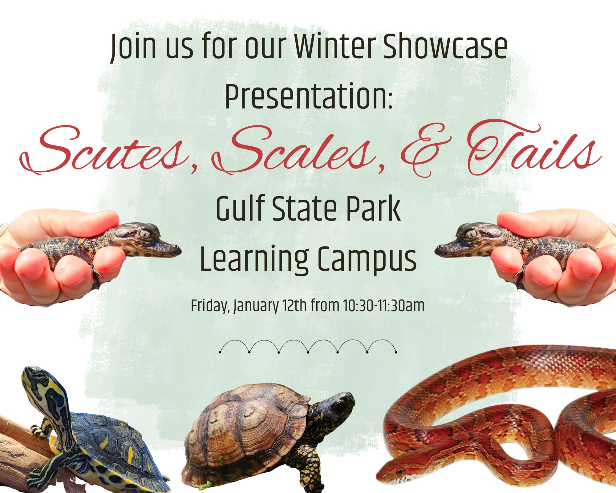 Winter Showcase