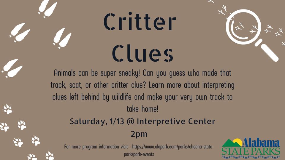 Critter Clues