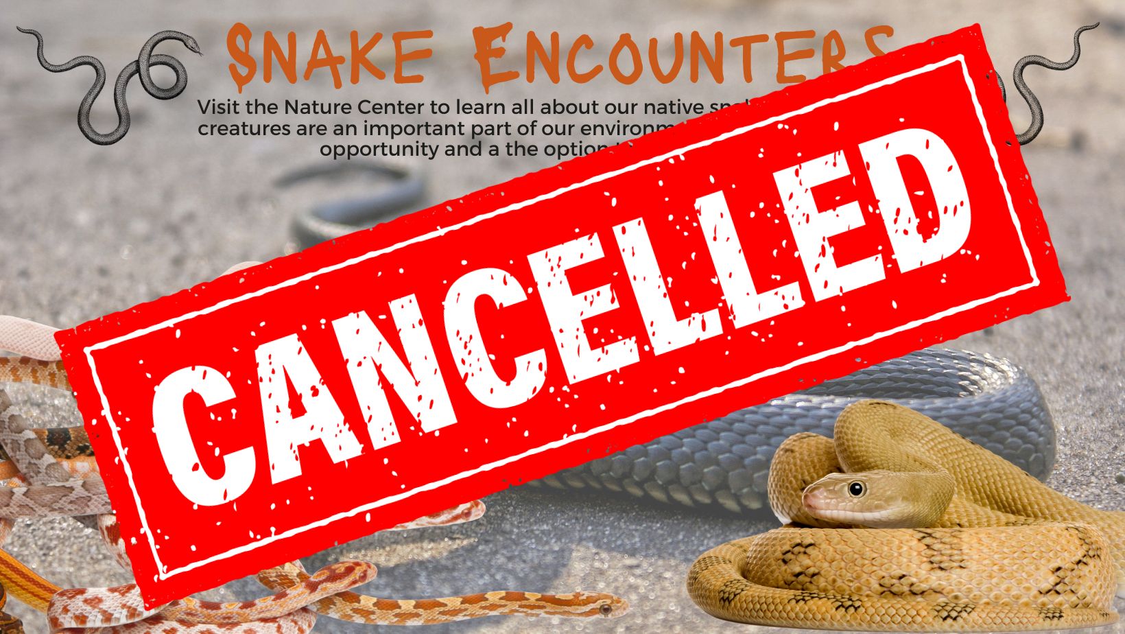 CANCELLED: Snake Encounters | Alapark
