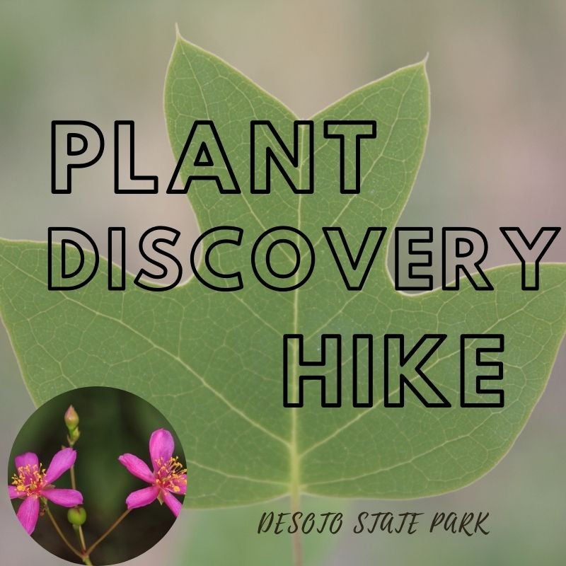 Plant Discovery Hike