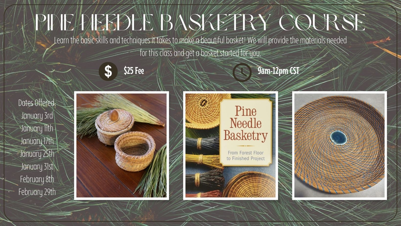 Pine Needle Updated