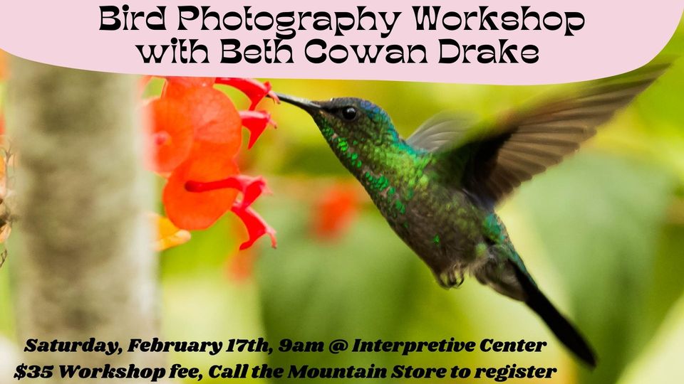 Beth Cowan Drake Photography Workshop