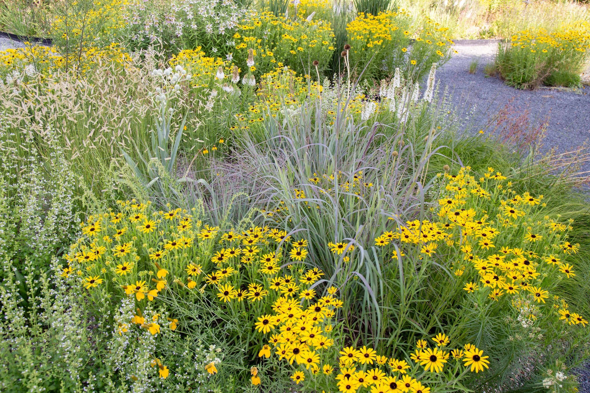 native landscape Kelly D. Norris