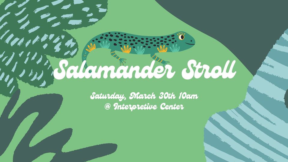 Salamander Stroll