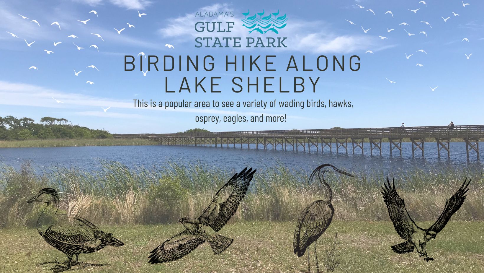 birding hike