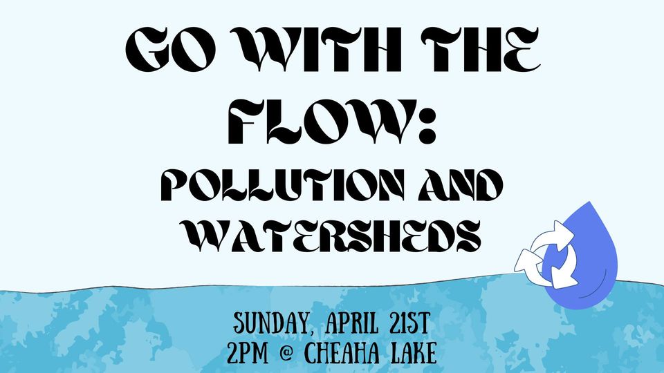 Go with the Flow: Pollution and Watersheds