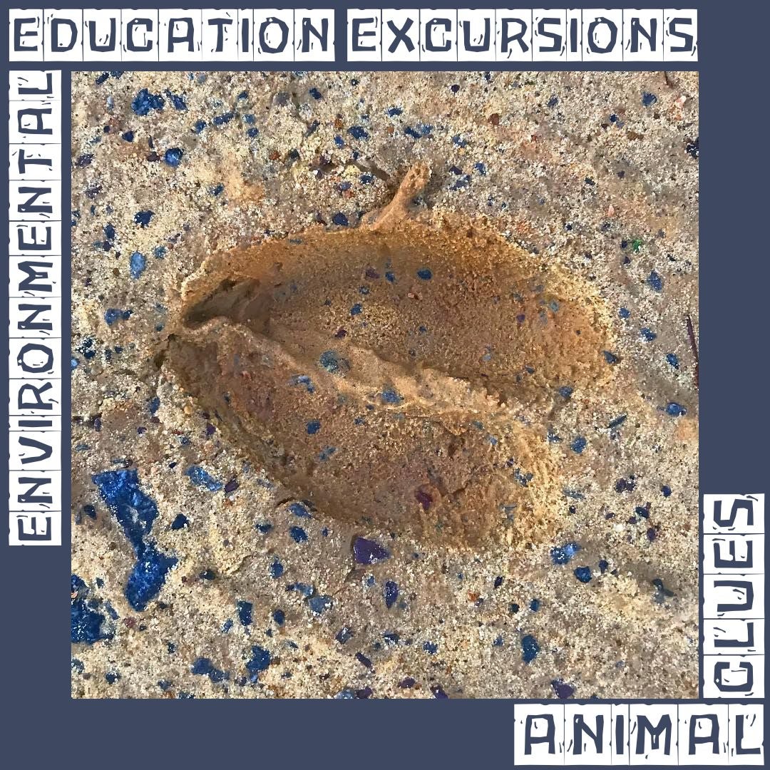 DSP EE Excursions Animal Clue 2
