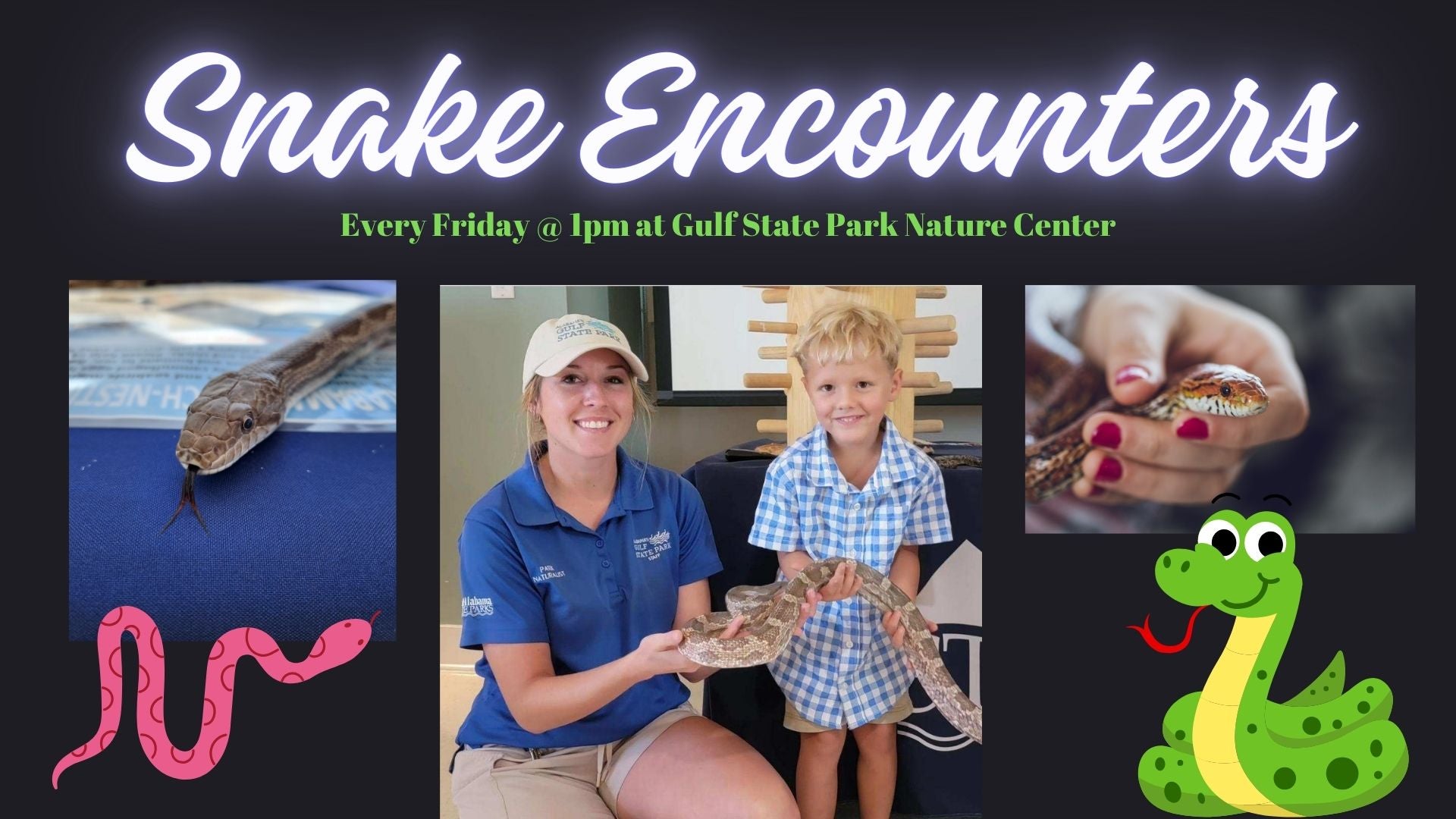 Snake Encounters