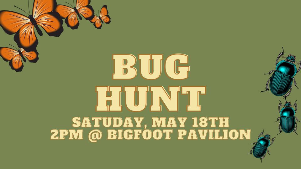 Bug Hunt