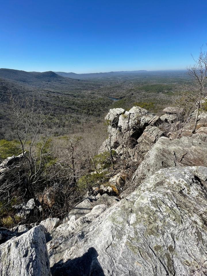 Hikin' with Lichens