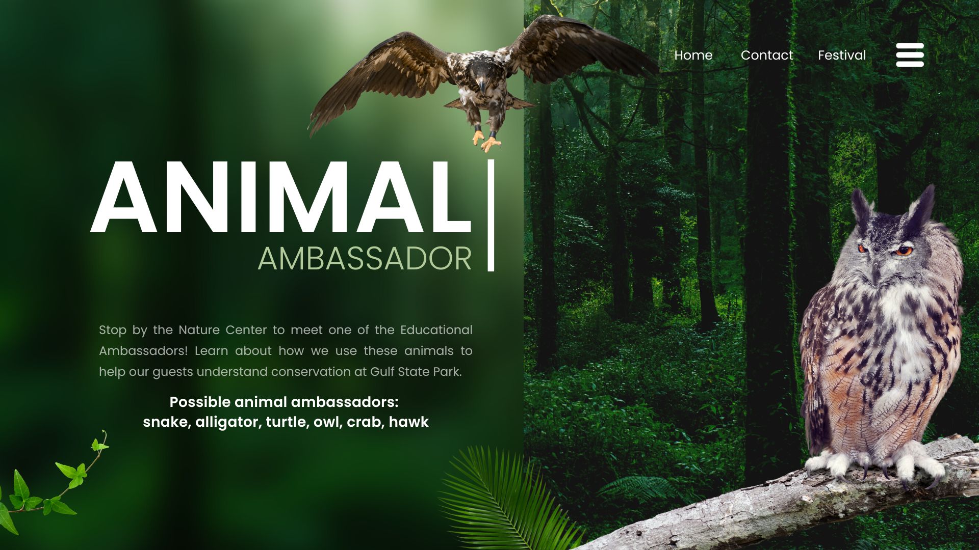Animal Ambassador