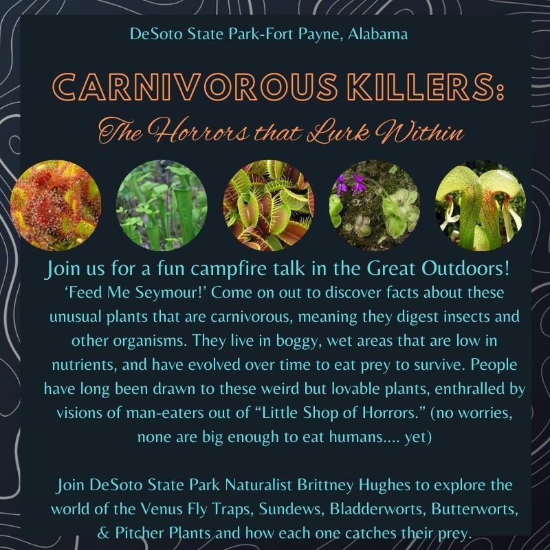 campfire talk carnivorous killers