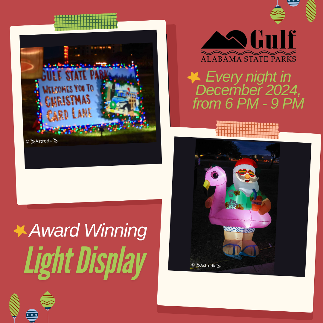 Gulf Shores Christmas Card Lane