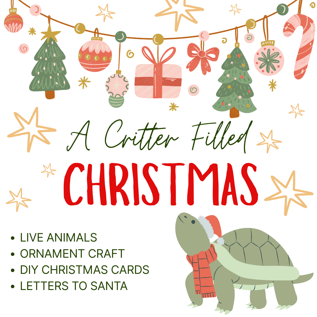 Graphic with Critter Filled Christmas info
