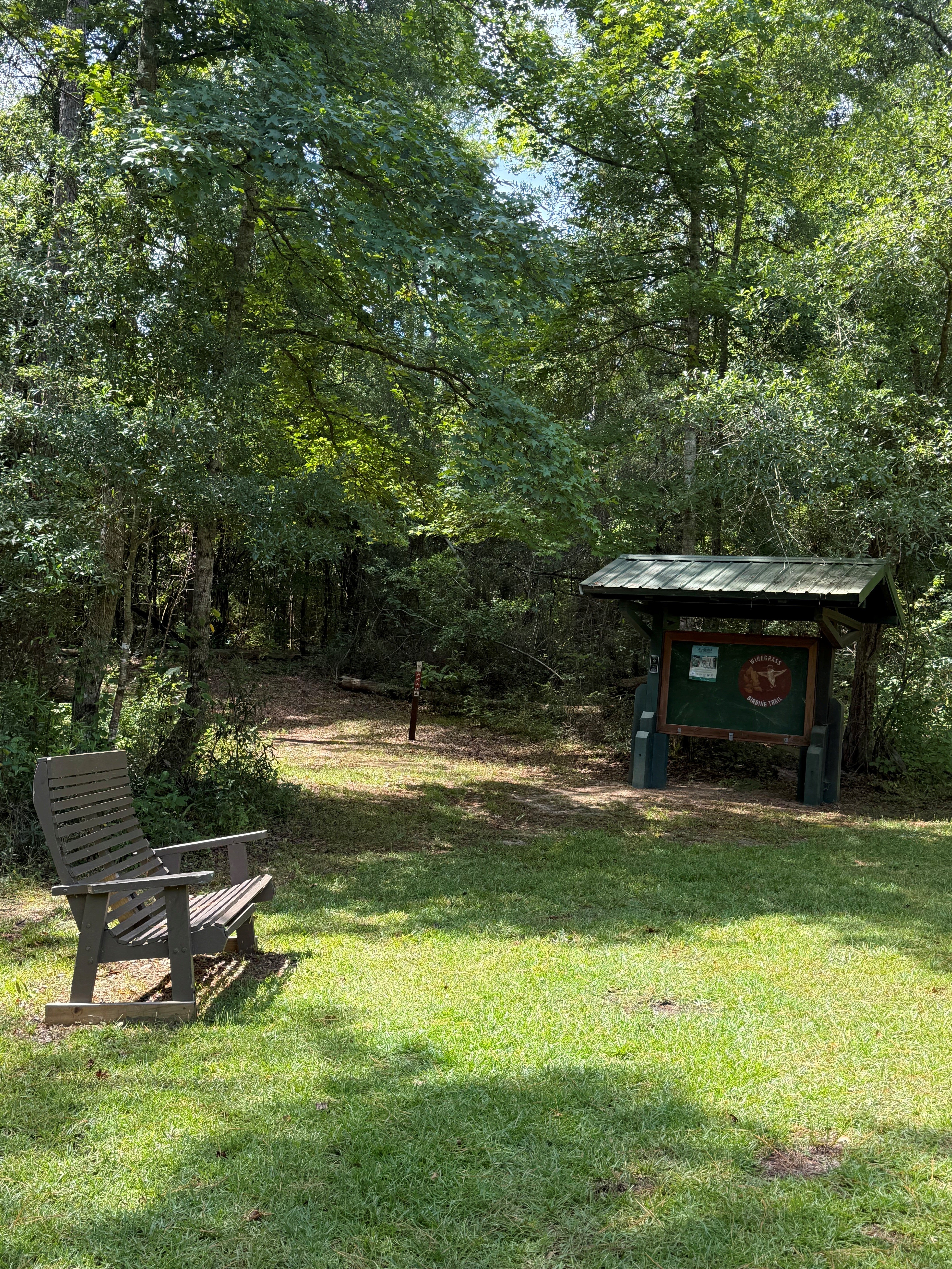 Picture of a bench and the start of a hiking trail