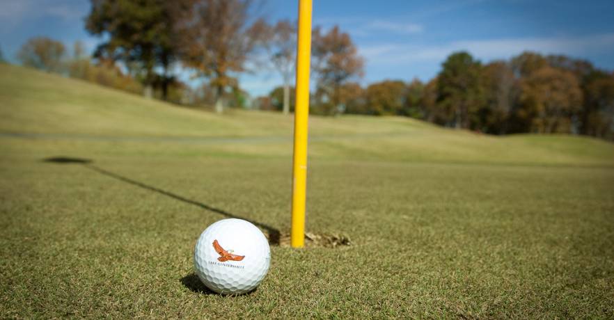 LGSP Golf Ball on Green