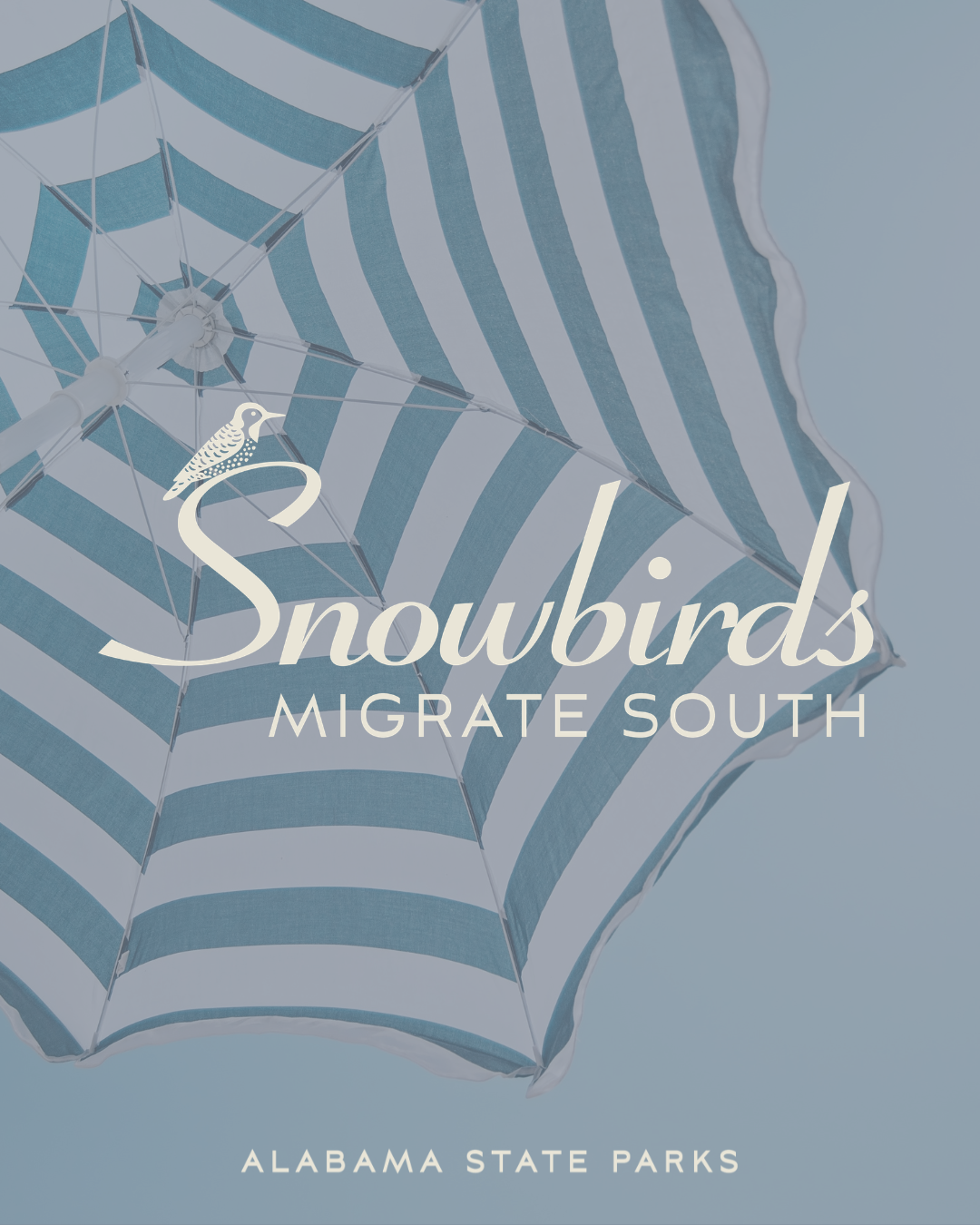 Promotional graphic for Alabama State Parks’ “Snowbirds Migrate South” campaign, featuring a blue-and-white striped beach umbrella with the text “Alabama State Parks” along the bottom.