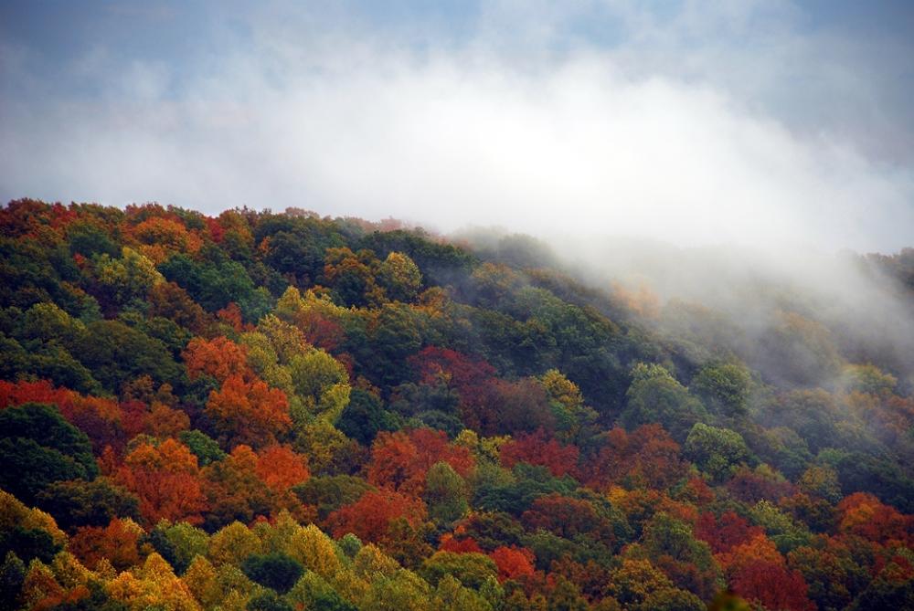 Monte Sano State Park Alapark