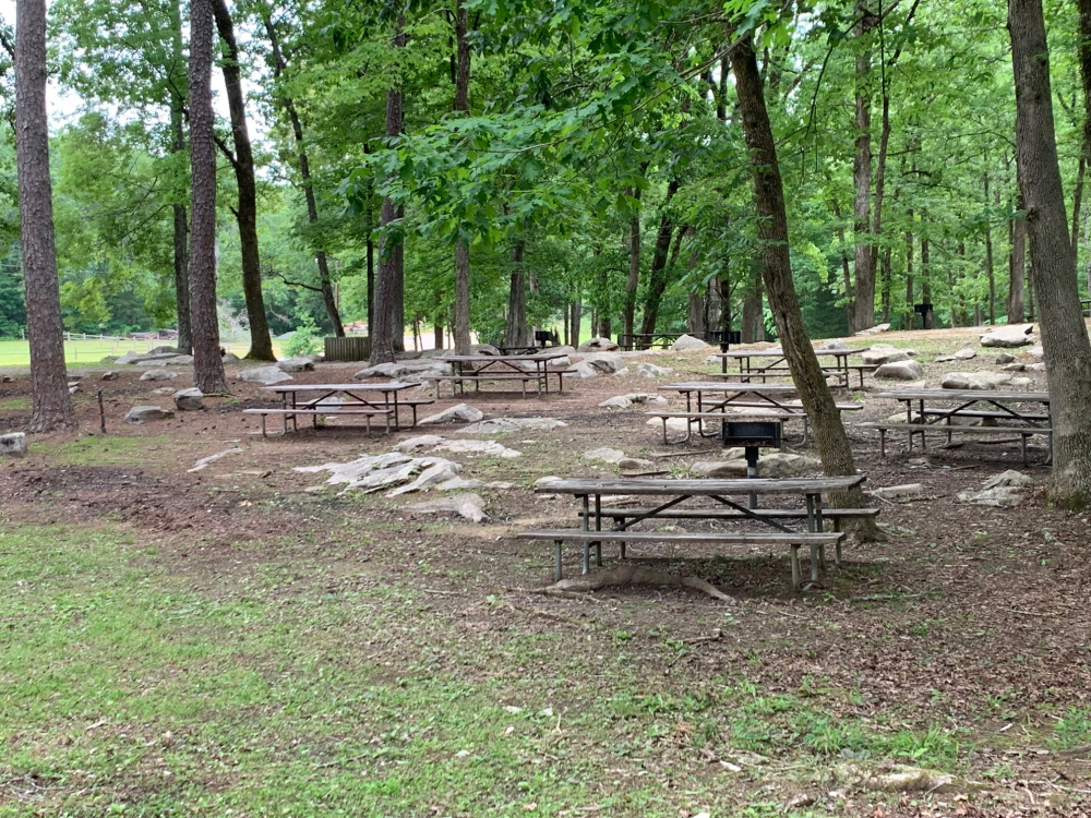 Parks near me with walking trails Explore local parks and nature reserves near you