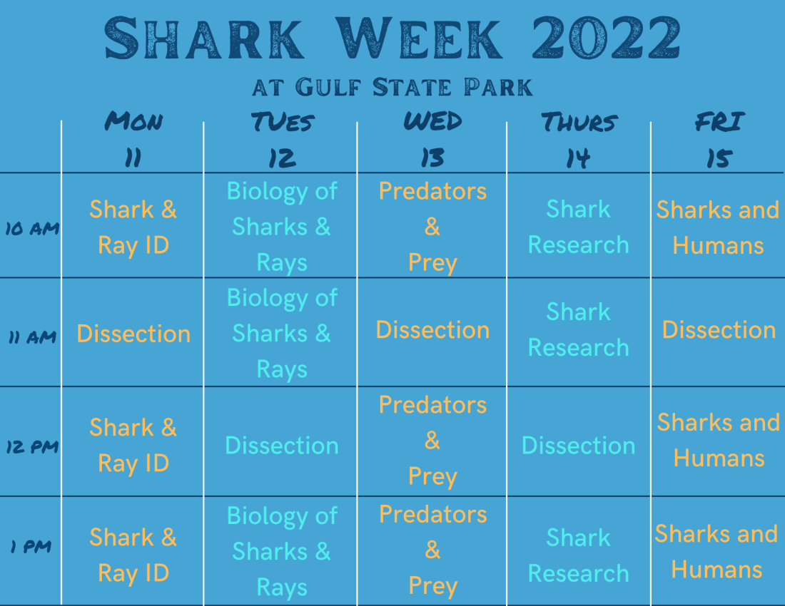 Shark Week! Alapark
