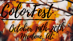 colorfest alapark