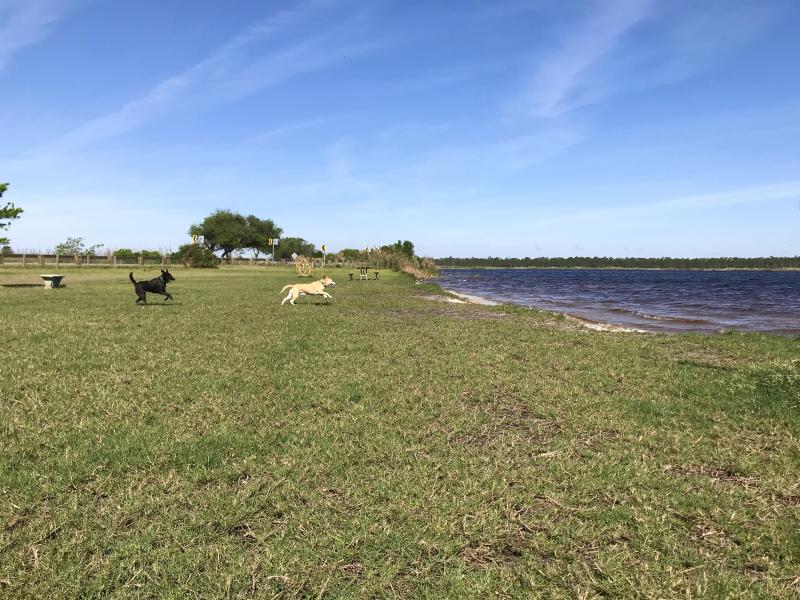 135, gulf shores, al 36542, the dog pond at lake shelby is at the lake shelby picnic area, on the west end of the parking lot, under the gulf adventure center on lake shelby. Dog Pond at Lake Shelby Alapark