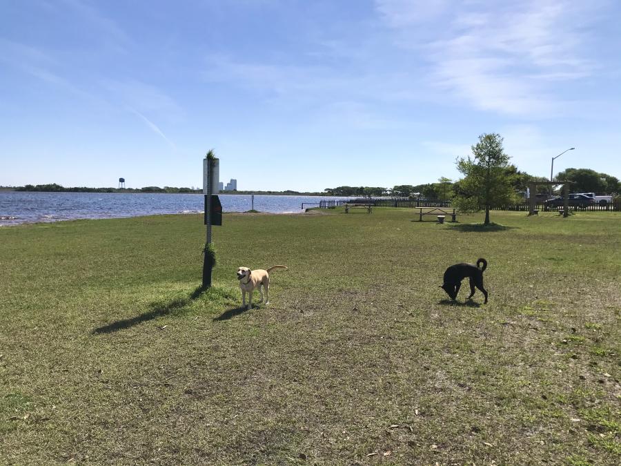 Dogs must be leashed when entering and exiting the dog park. Dog Pond at Lake Shelby Alapark