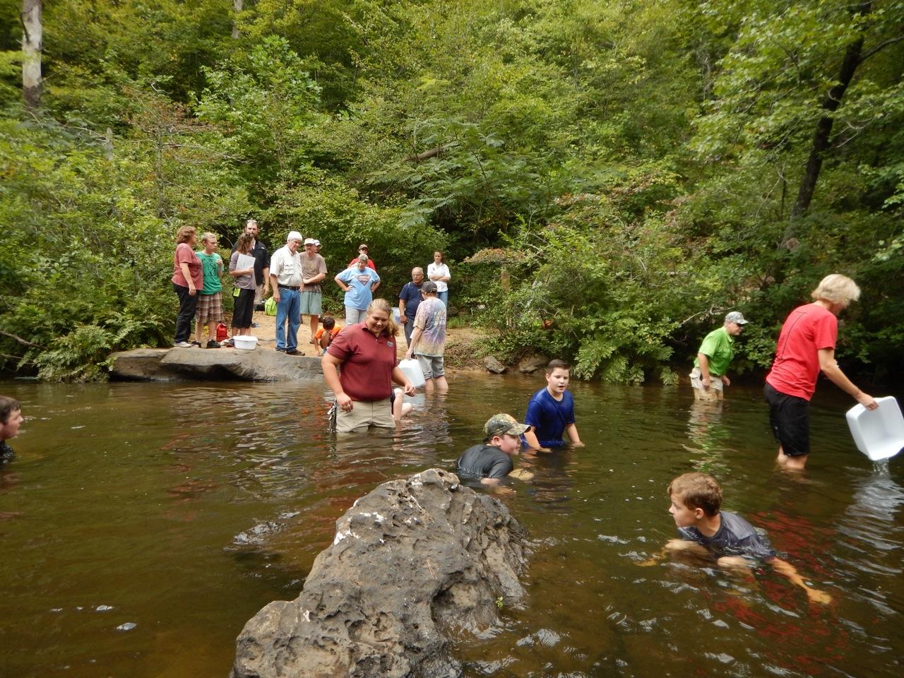 Desoto Events & Programs Alapark