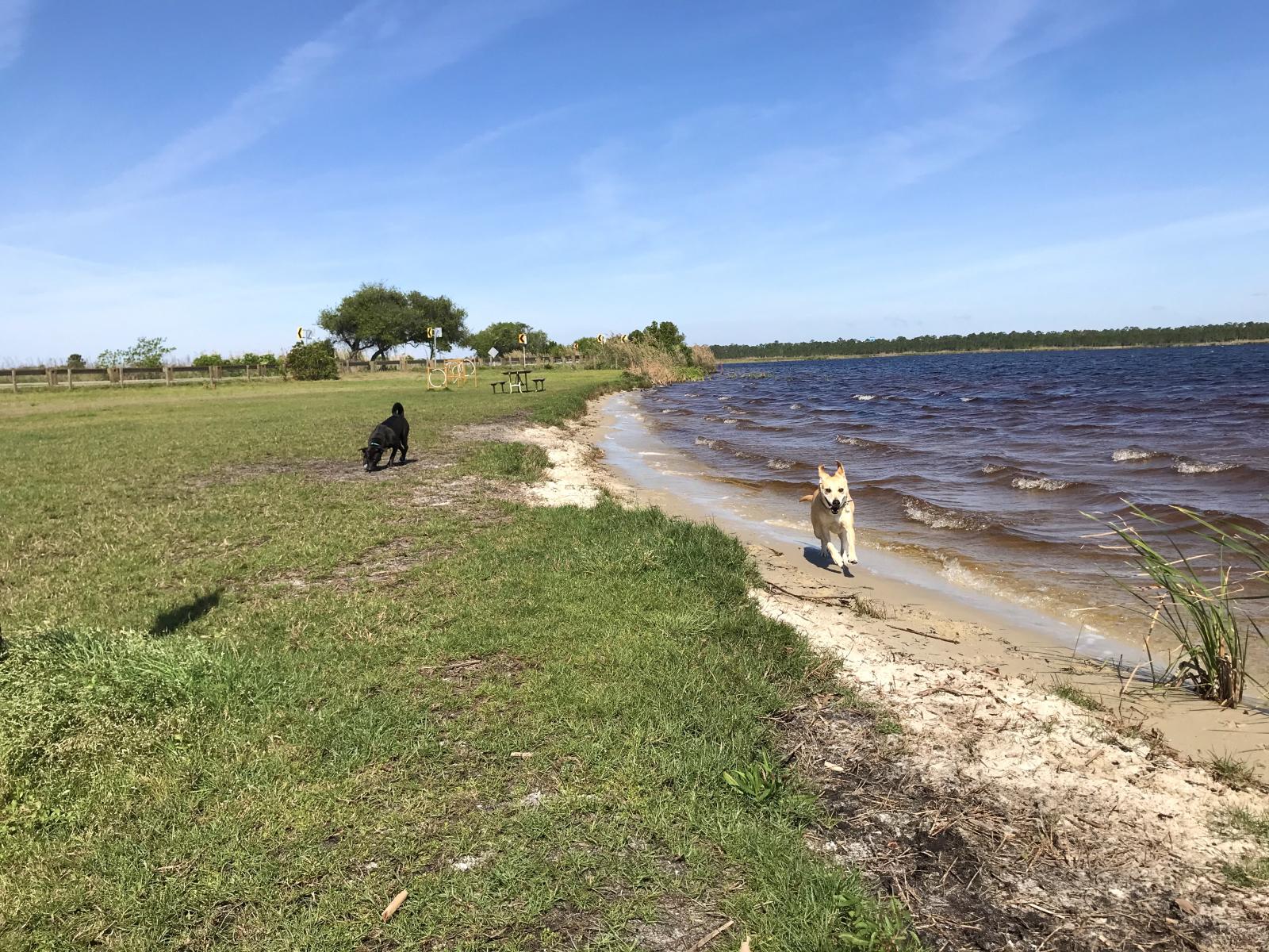 Now everyone can enjoy a gulf shores vacation! Dog Pond at Lake Shelby Alapark