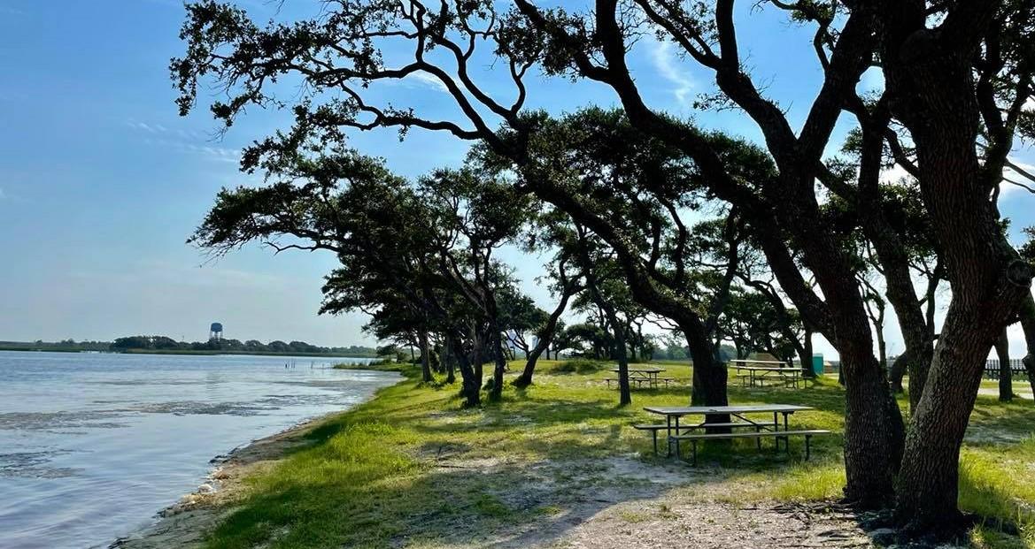 Lake Shelby Picnic Area Alapark