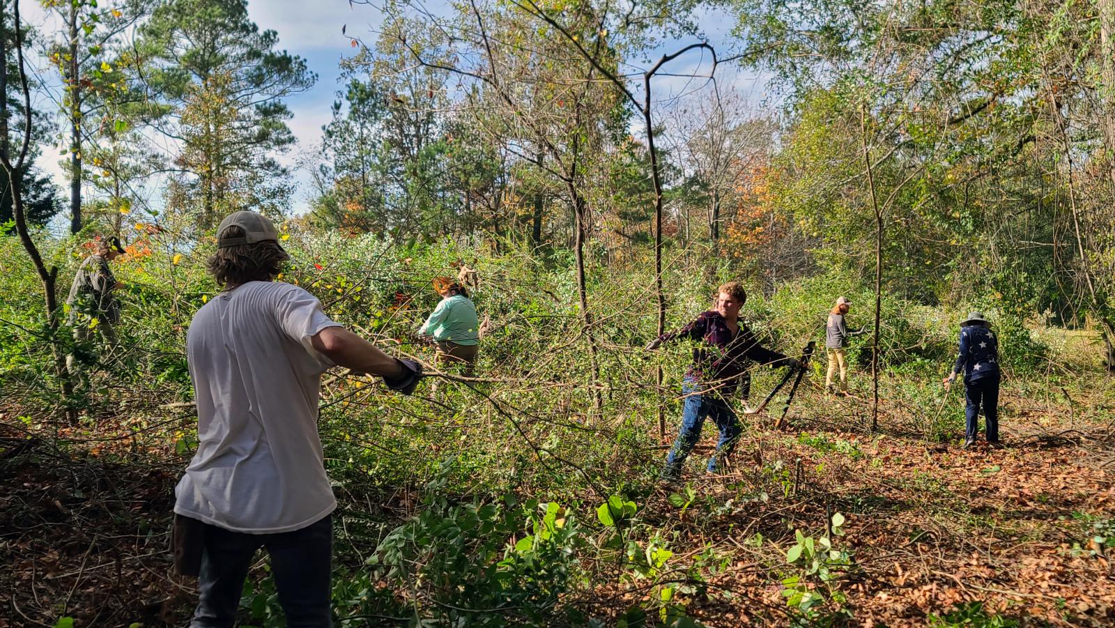 Habitat Restoration Working Group at Chewacla State Park