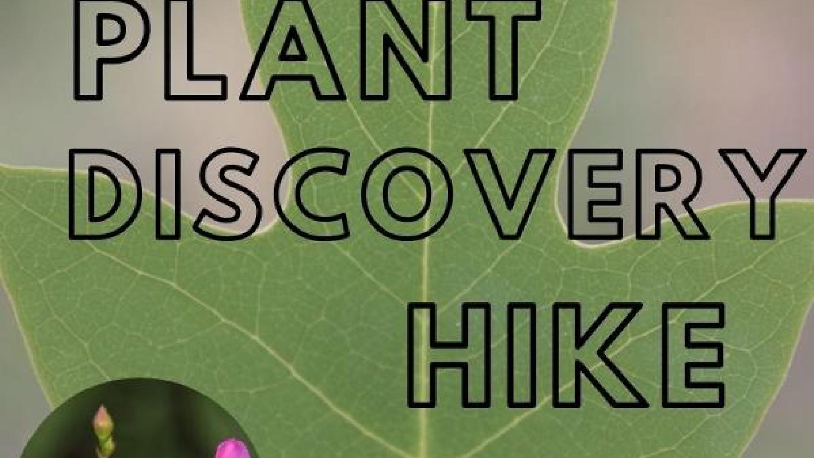 https://reserve.alapark.com/gallery/alapark_master/26/items/55309925-C401-496F-9B3BDB24CE6ECBF0.jpg
