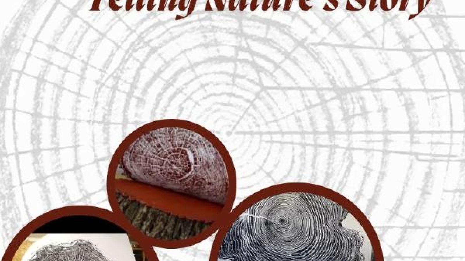 https://reserve.alapark.com/gallery/alapark_master/26/items/A95F3EB5-2505-4EC7-8A6E661812DFC682.jpg