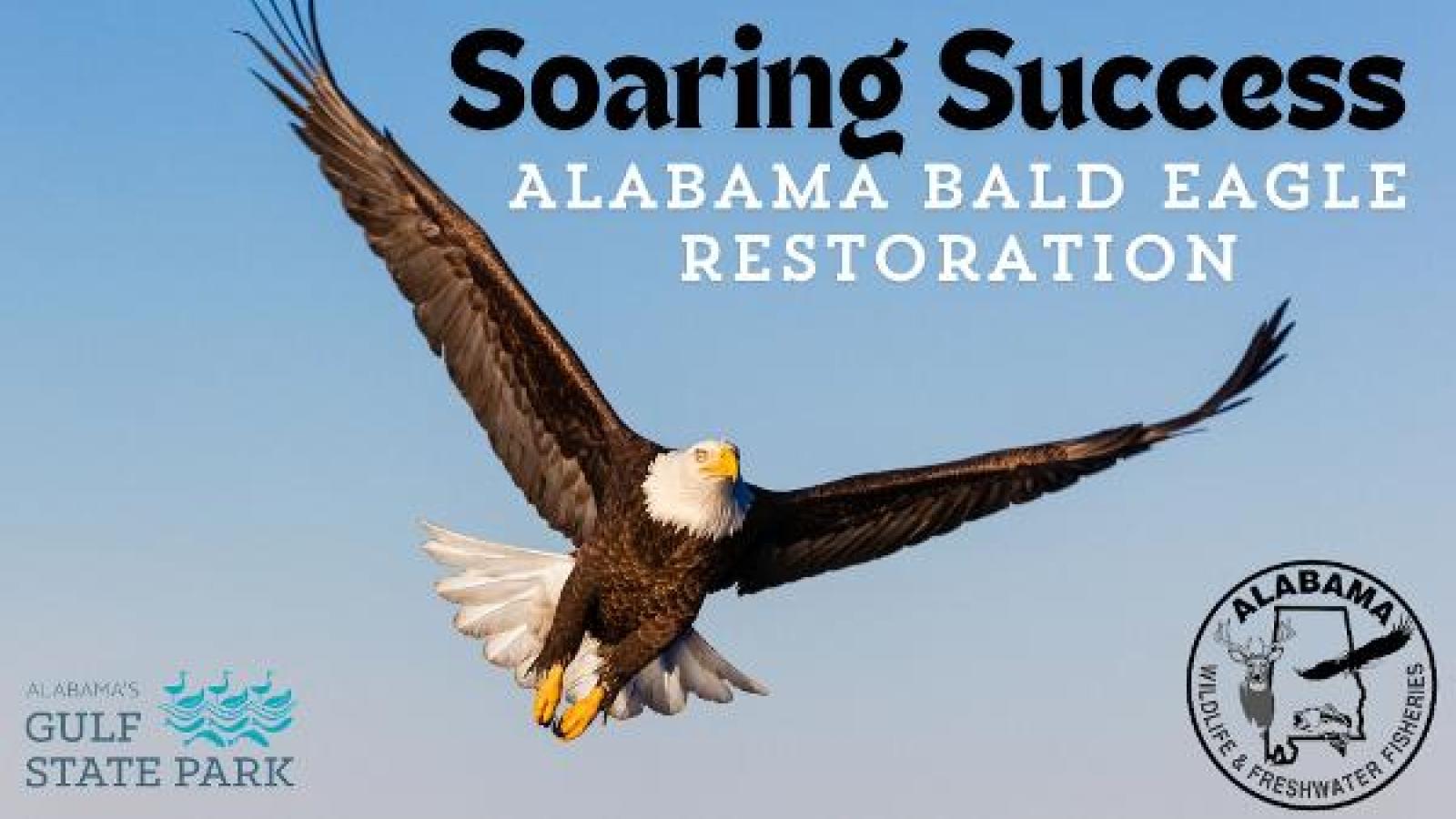 https://reserve.alapark.com/gallery/alapark_master/26/items/36ACF796-9F96-434A-B8F05E5488827474.jpg