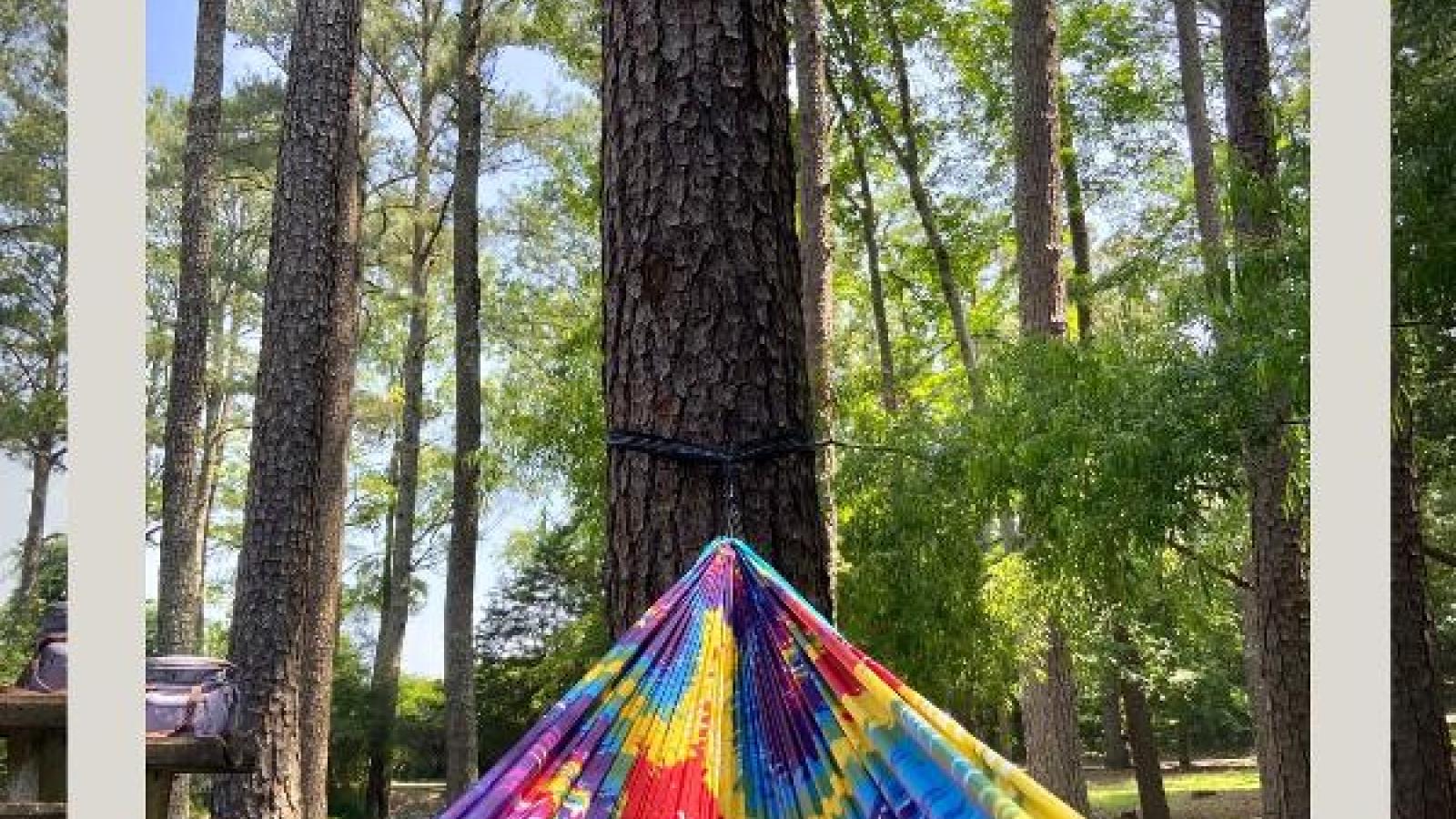 https://reserve.alapark.com/gallery/alapark_master/26/items/FDB1CA23-DDFC-4DD2-A41046B6C2C46EFB.jpg