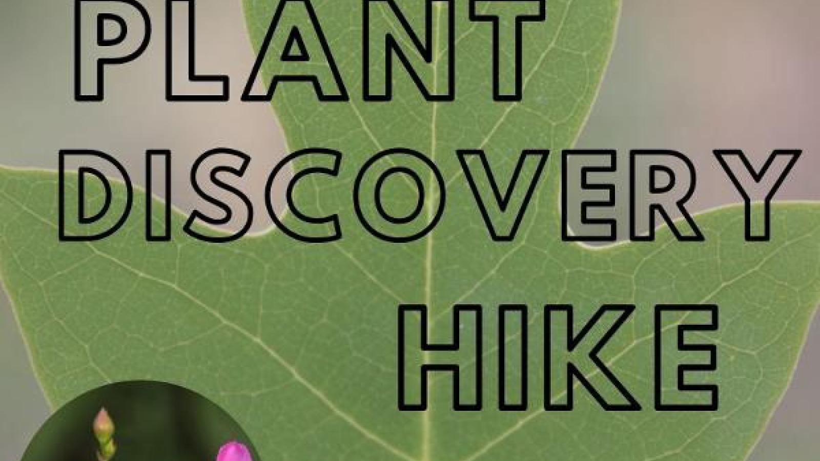https://reserve.alapark.com/gallery/alapark_master/26/items/086F5F63-C6E7-42E0-ABA63F5A21BEB00B.jpg