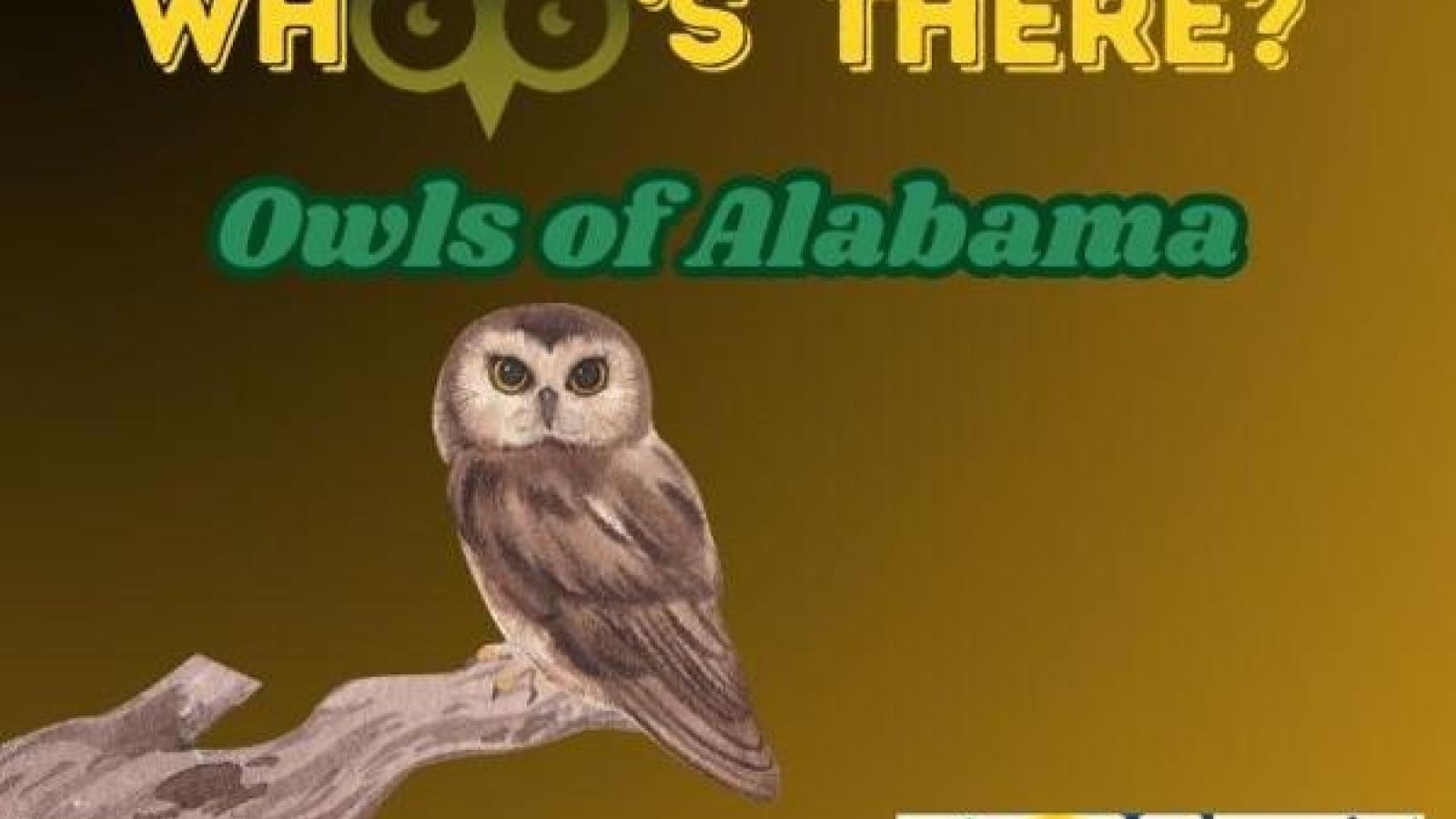 https://reserve.alapark.com/gallery/alapark_master/26/items/C334C32A-A296-4187-B576A84462C0AE9F.jpg