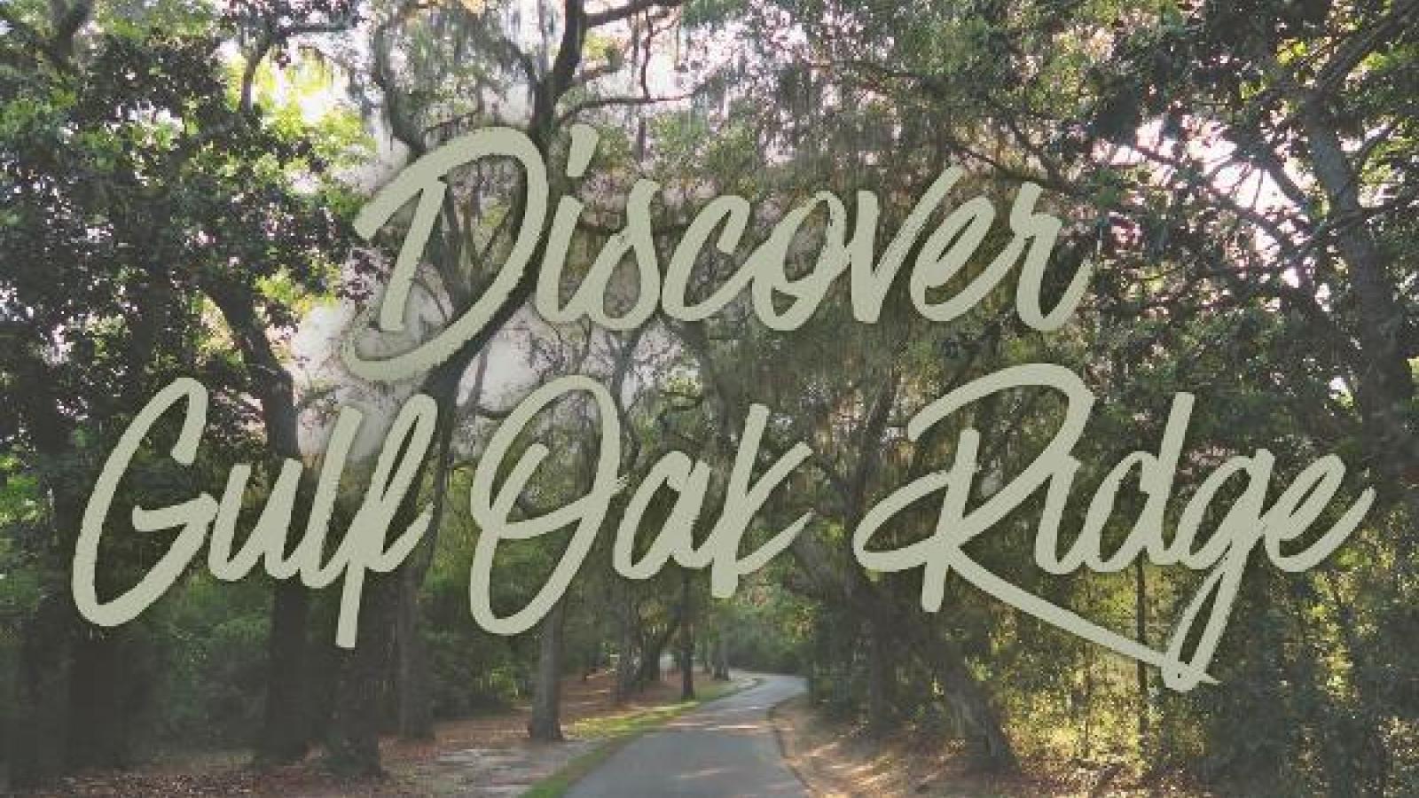 https://reserve.alapark.com/gallery/alapark_master/26/items/27010364-C4F3-4491-9B6F57A3534ED3C8.jpg
