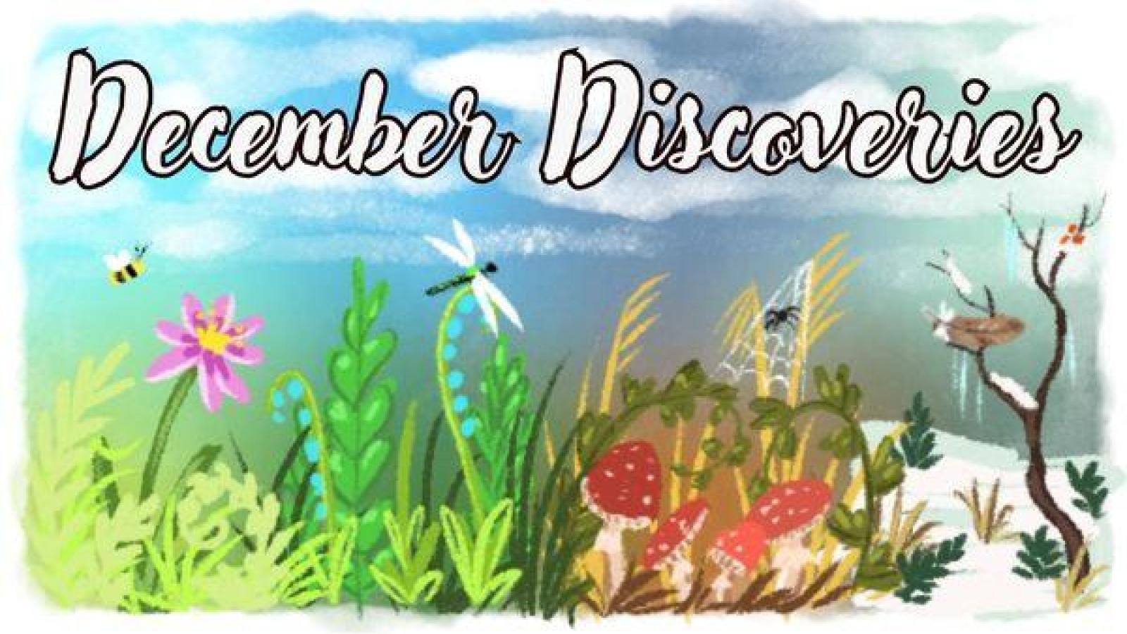 https://reserve.alapark.com/gallery/alapark_master/26/items/1D47C9D0-ED1C-4937-AD0DEB9607D2B569.jpg
