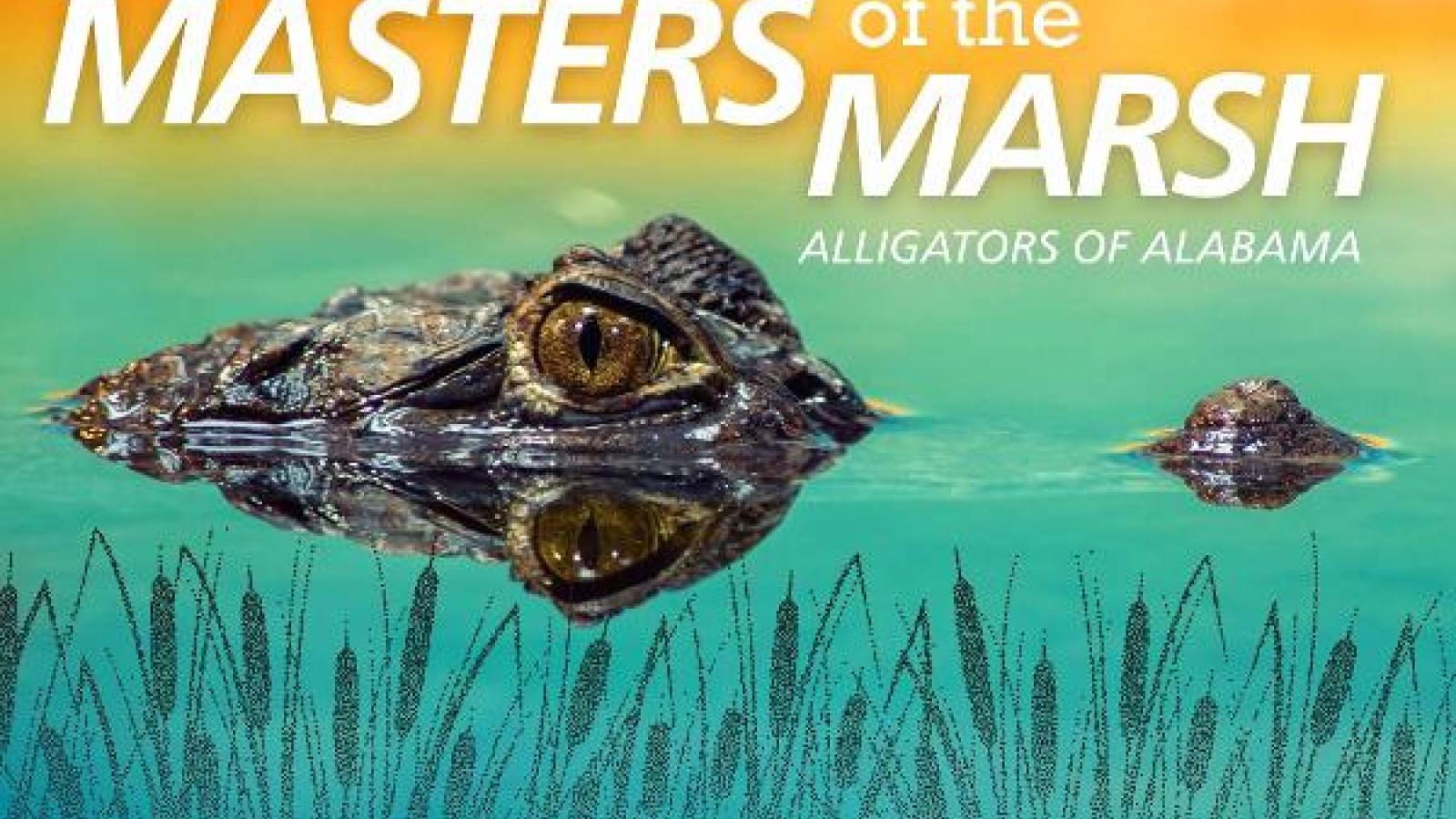 https://reserve.alapark.com/gallery/alapark_master/26/items/79F8F05B-2CBC-464A-A4383B3759740397.jpg