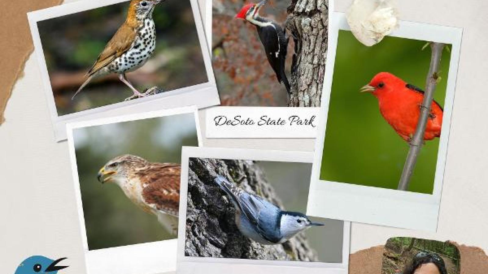 https://reserve.alapark.com/gallery/alapark_master/26/items/E0B4813E-3559-4A83-A4C6A27A11E43EFA.jpg