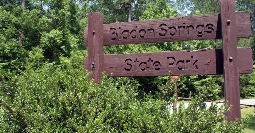 Bladon Springs Sign