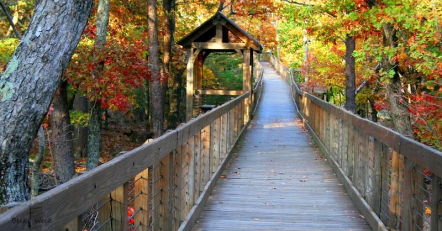 cheaha boardwalk