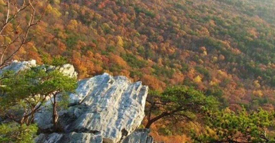 Cheaha Repelling Pulpit Rock