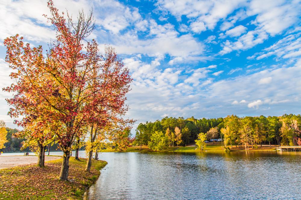 Lake Lurleen State Park Lake View by Rachel Callahan