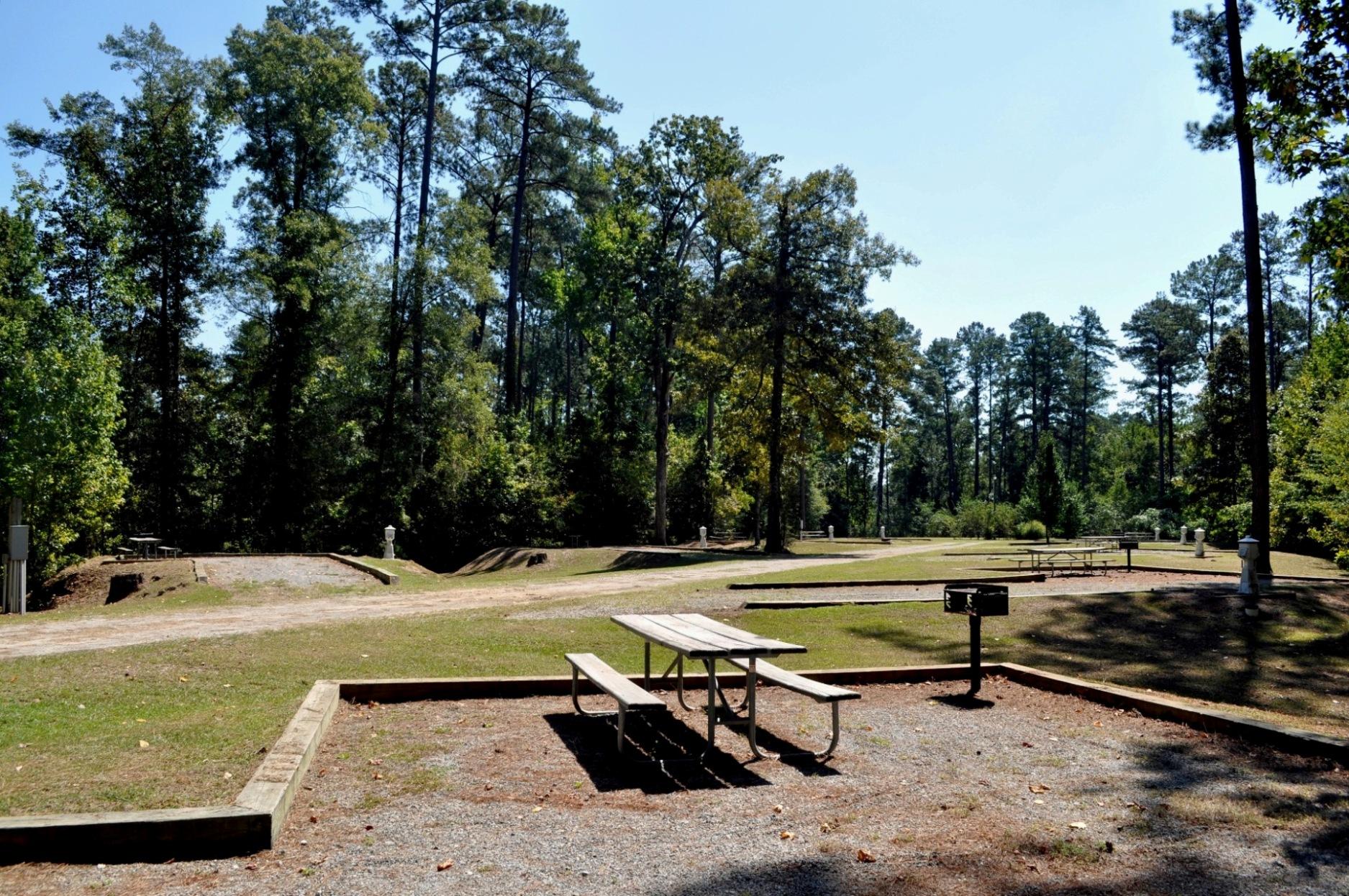 Bladon Springs Campground Bladon Springs
