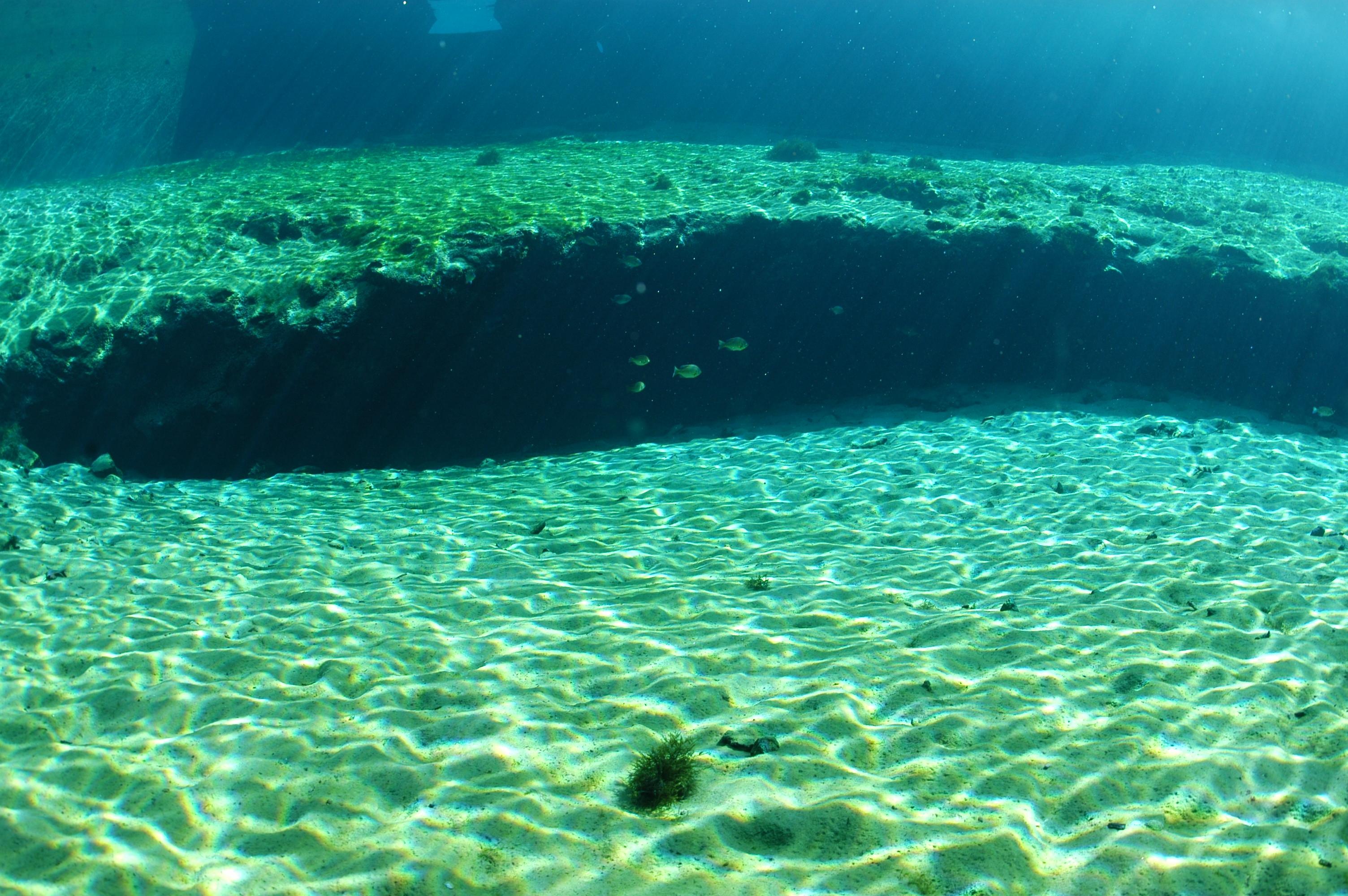 Blue Springs clear water