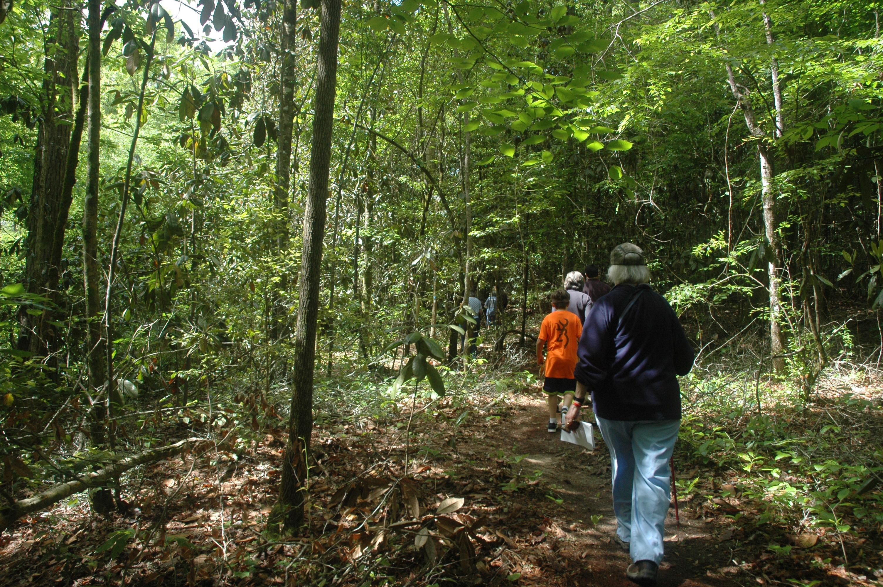 Blue Springs Trail walkers